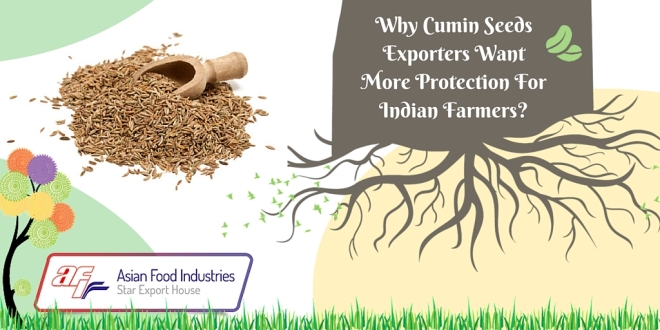 Why Cumin Seeds Exporters Want More Protection For Indian Farmers?
